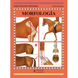 Guía Morfología